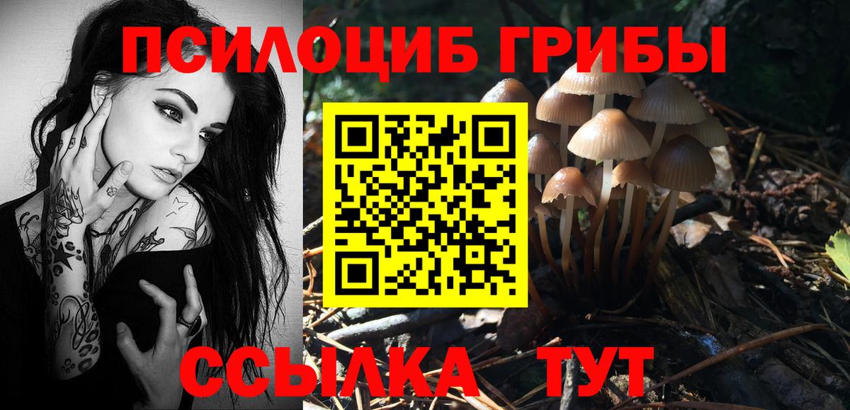 Галлюциногенные грибы Cubensis  Галлюциногенные грибы MAGIC MUSHROOMS  Сунжа  Вход с VPN 