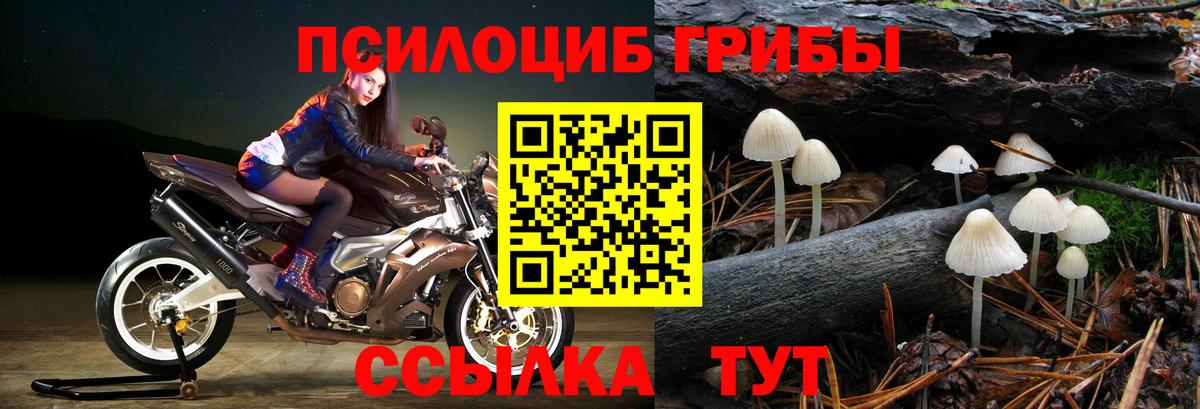 Псилоцибиновые грибы прущие грибы Сунжа